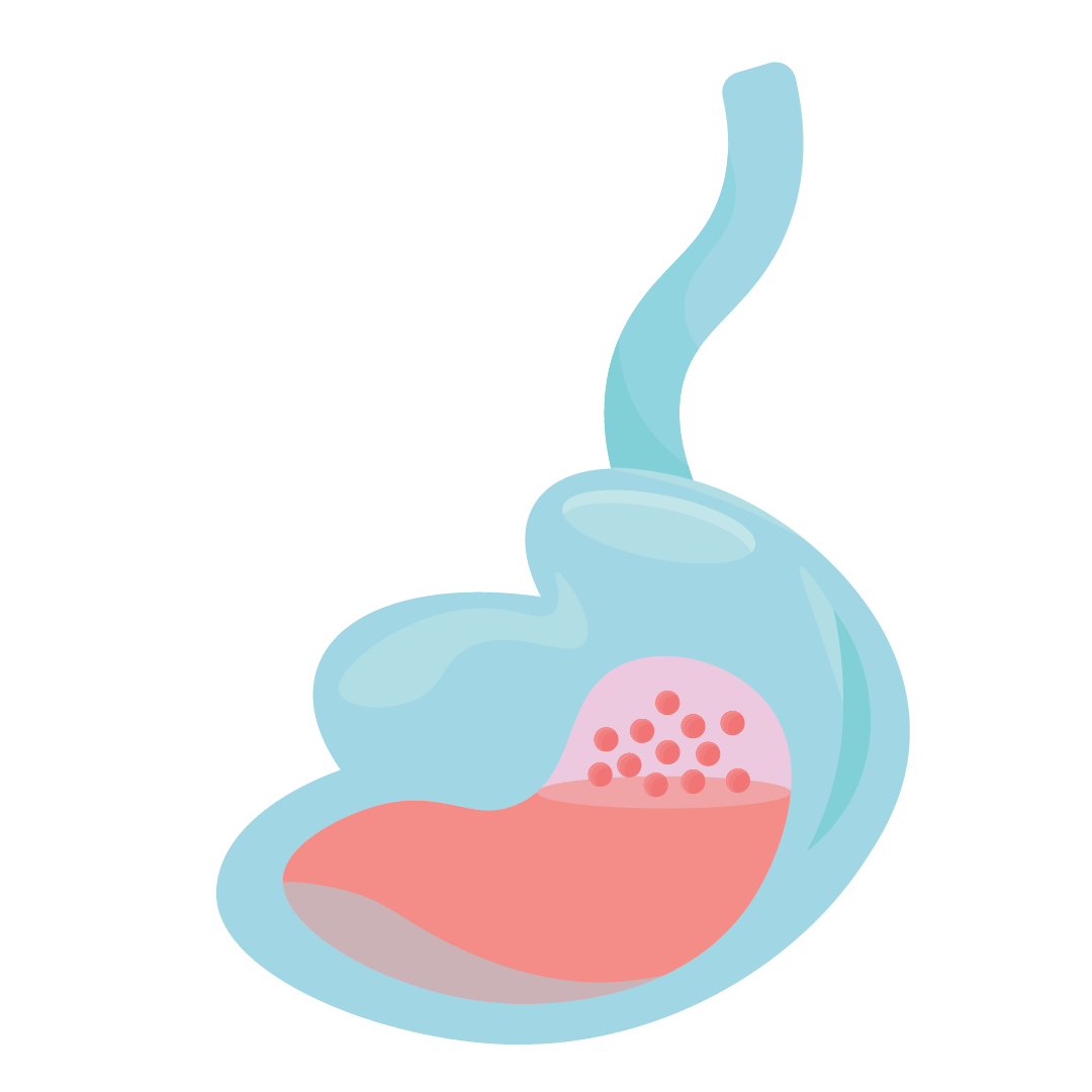 12-07-21 (1080 icons)-82